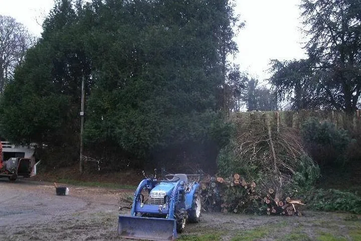 Savary Espaces verts — photo 2