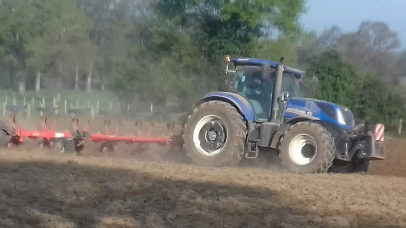 Travaux agricoles — photo 5