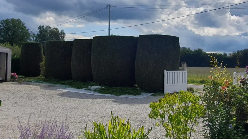 FRANCOIS PAYSAGES ELAGAGES — photo 2