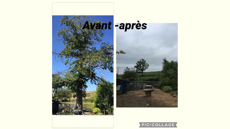 Elagage / Abattage — photo 5
