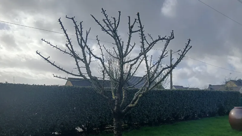 Ardent Paysage — photo 45