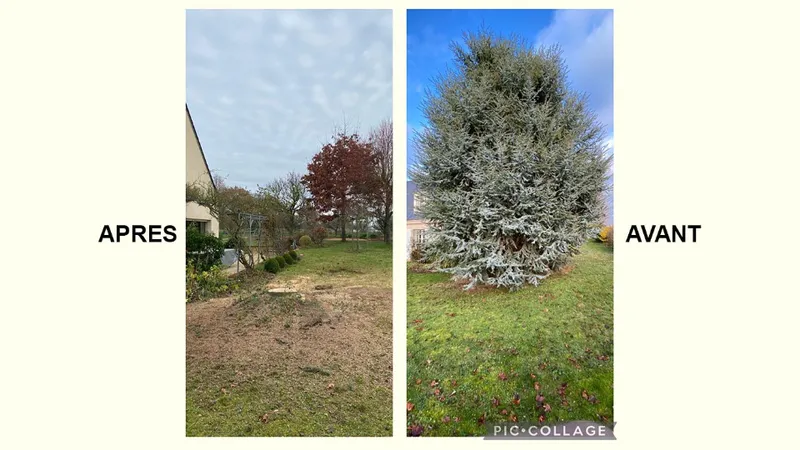 Elagage / Abattage — photo 10