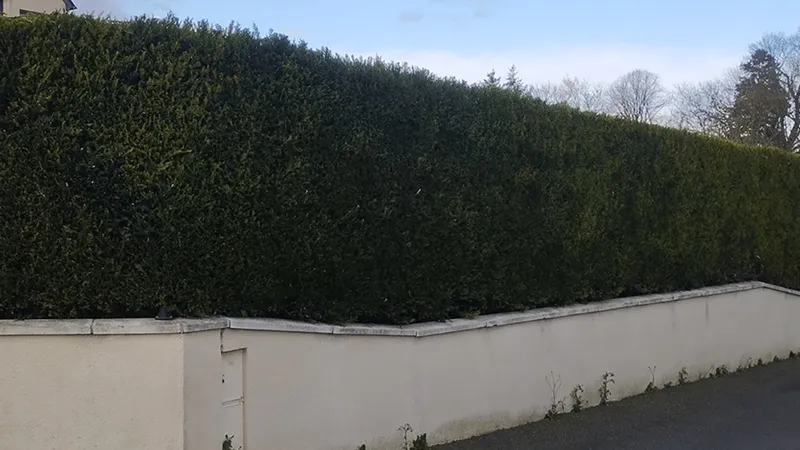 QUENTIN MILLION SERVICES — photo 21