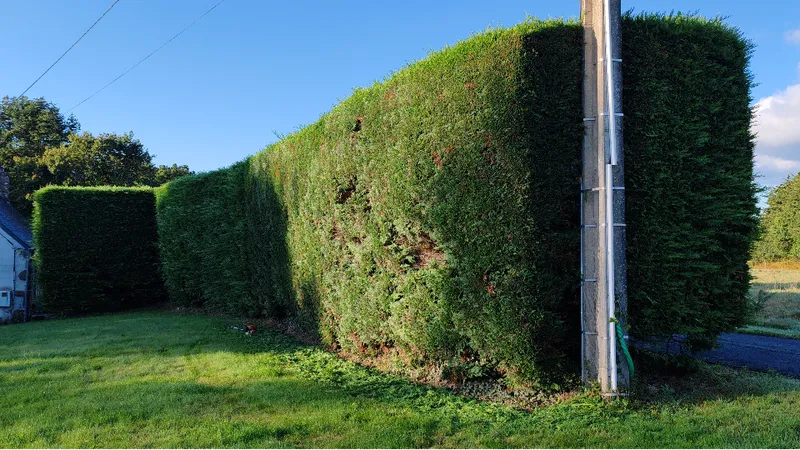 JULIEN NATURE ET PAYSAGE - Julien Foll — photo 24