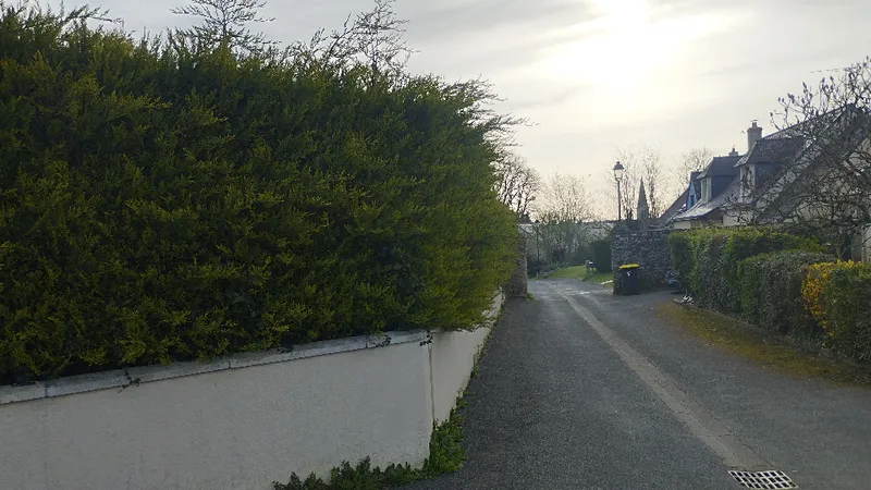 QUENTIN MILLION SERVICES — photo 19