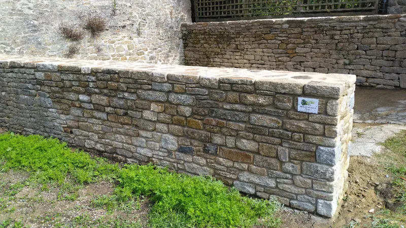 Ardent Paysage — photo 28