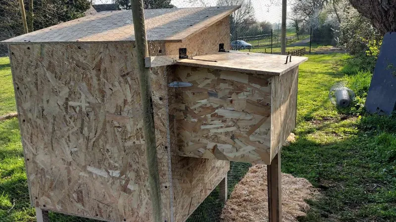 QUENTIN MILLION SERVICES — photo 13