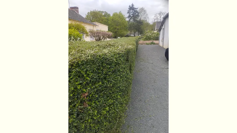 QUENTIN MILLION SERVICES — photo 25