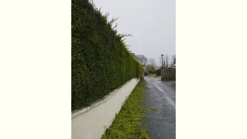 QUENTIN MILLION SERVICES — photo 22