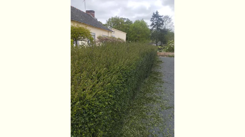 QUENTIN MILLION SERVICES — photo 23