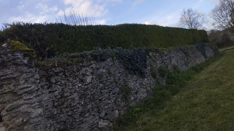 QUENTIN MILLION SERVICES — photo 20