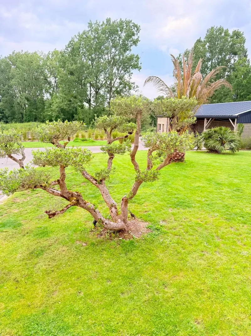 LES JARDINS DUVAL — photo 11