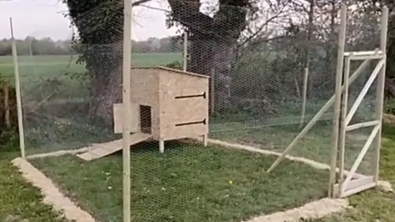 QUENTIN MILLION SERVICES — photo 14