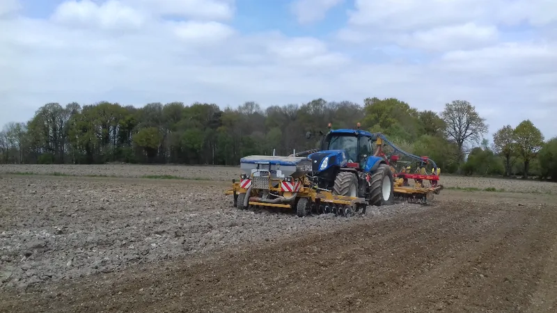 Travaux agricoles — photo 4