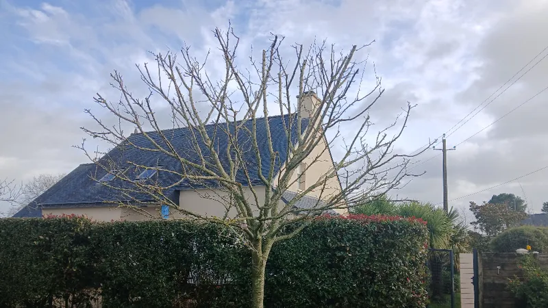Ardent Paysage — photo 44
