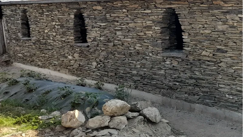 SARL LA CHAUMIERE PAYSAGE - Guillaume Allard — photo 12