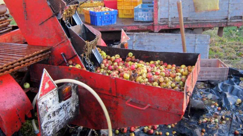 PRESSE A CIDRE — photo 2